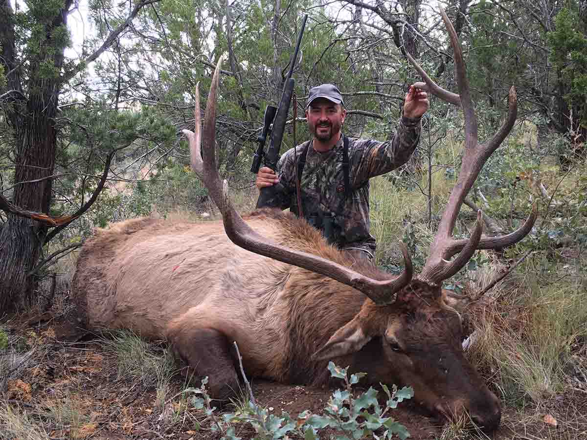 Rob Lancellotti made handy work of this New Mexico public land bull with a New Ultra Light Arms .308 Winchester; a cartridge some hunters describe as “puny” for anything larger than deer.
